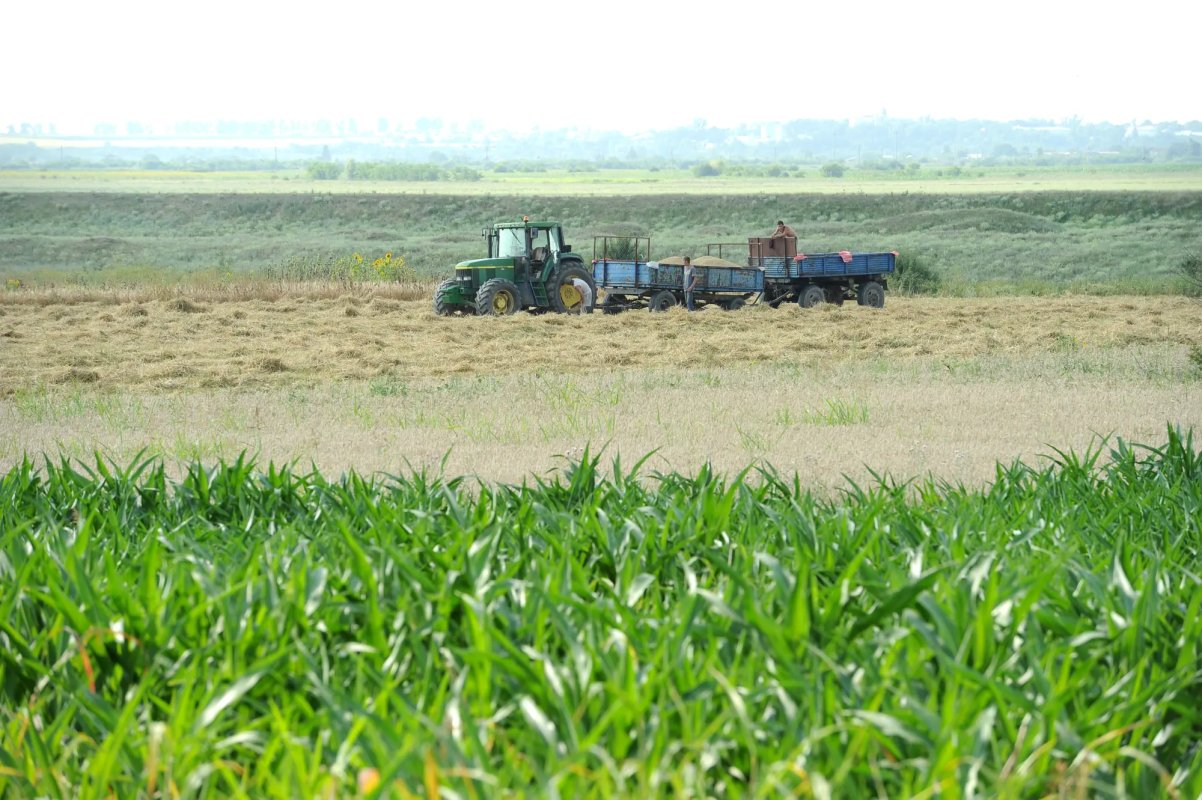 Peste 560.000 de utilaje agricole în România 364715