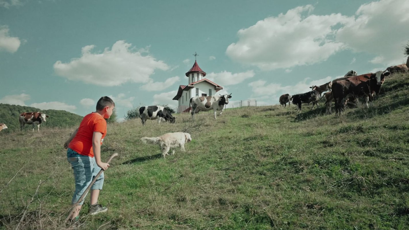 Valea Plopului, o insulă a speranţei  pentru copiii fără şanse 364213