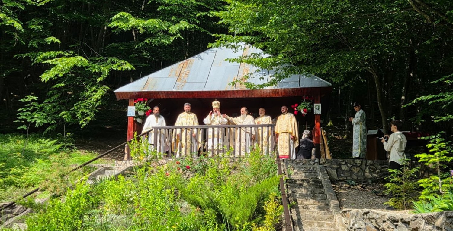 Slujirile ierarhilor hunedoreni în Duminica Tuturor Sfinților 365110