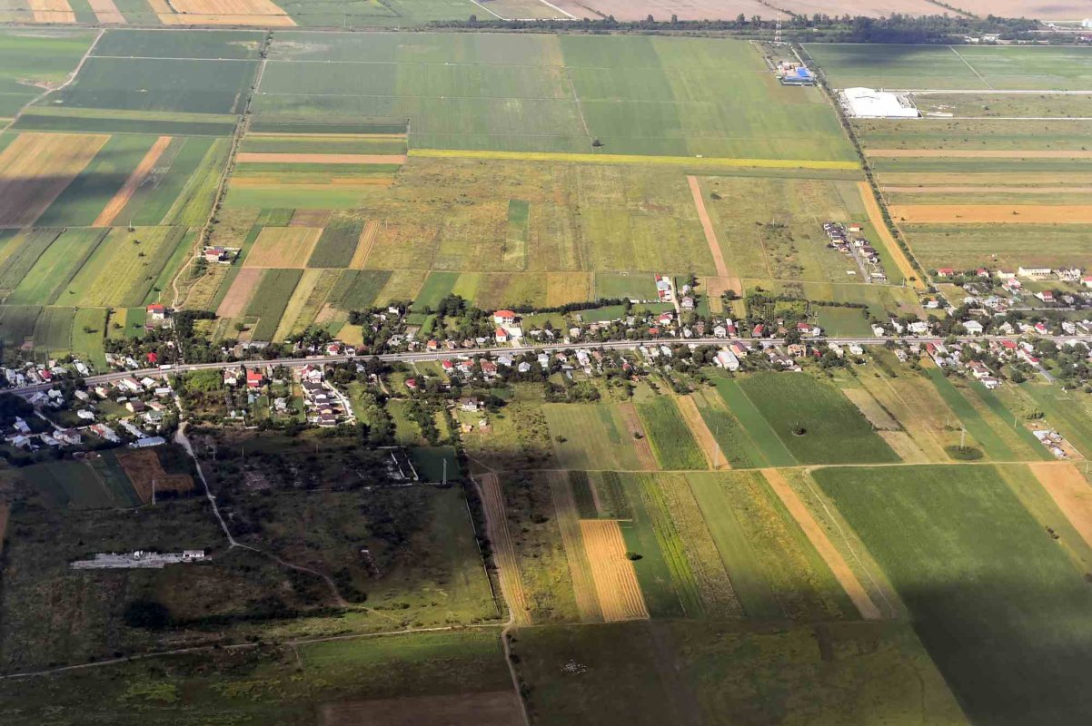Scădere a numărului de ferme mici  365392