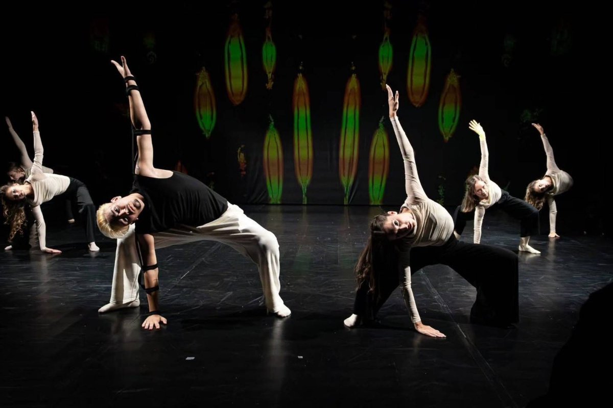 Festivalul universităților  de teatru 366010