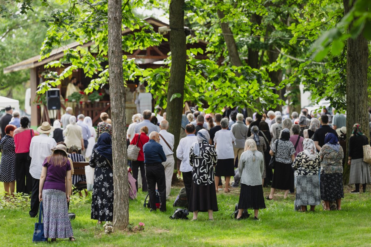 Hramul ctitoriei lui Matei Basarab din Codrii Vlăsiei 366215