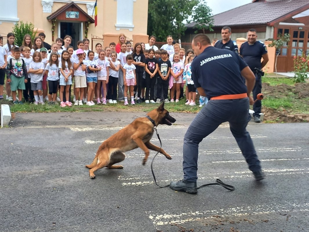 Școli de vară pentru tineri în Arhiepiscopia Timișoarei 368060