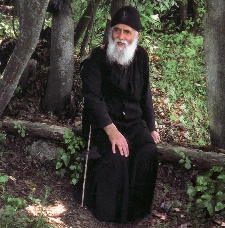 Viața jertfelnică și înțelepciunea smerită a Sfântului Paisie Aghioritul 367612
