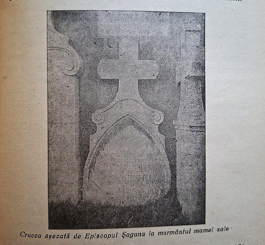 Sfânta Anastasia Şaguna, icoană a mamei creştine 368429
