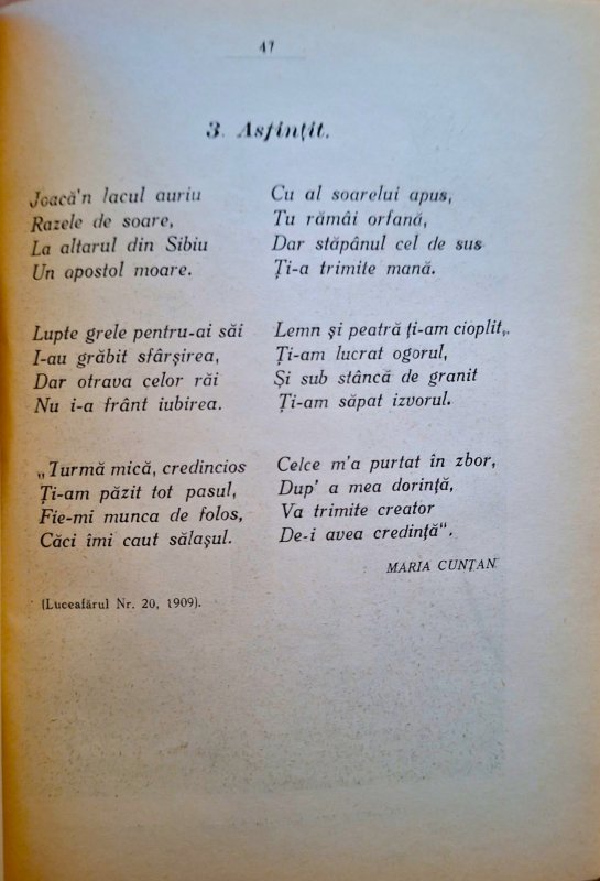 Sfânta Anastasia Şaguna, icoană a mamei creştine 368431