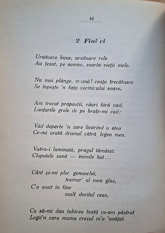 Sfânta Anastasia Şaguna, icoană a mamei creştine 368433