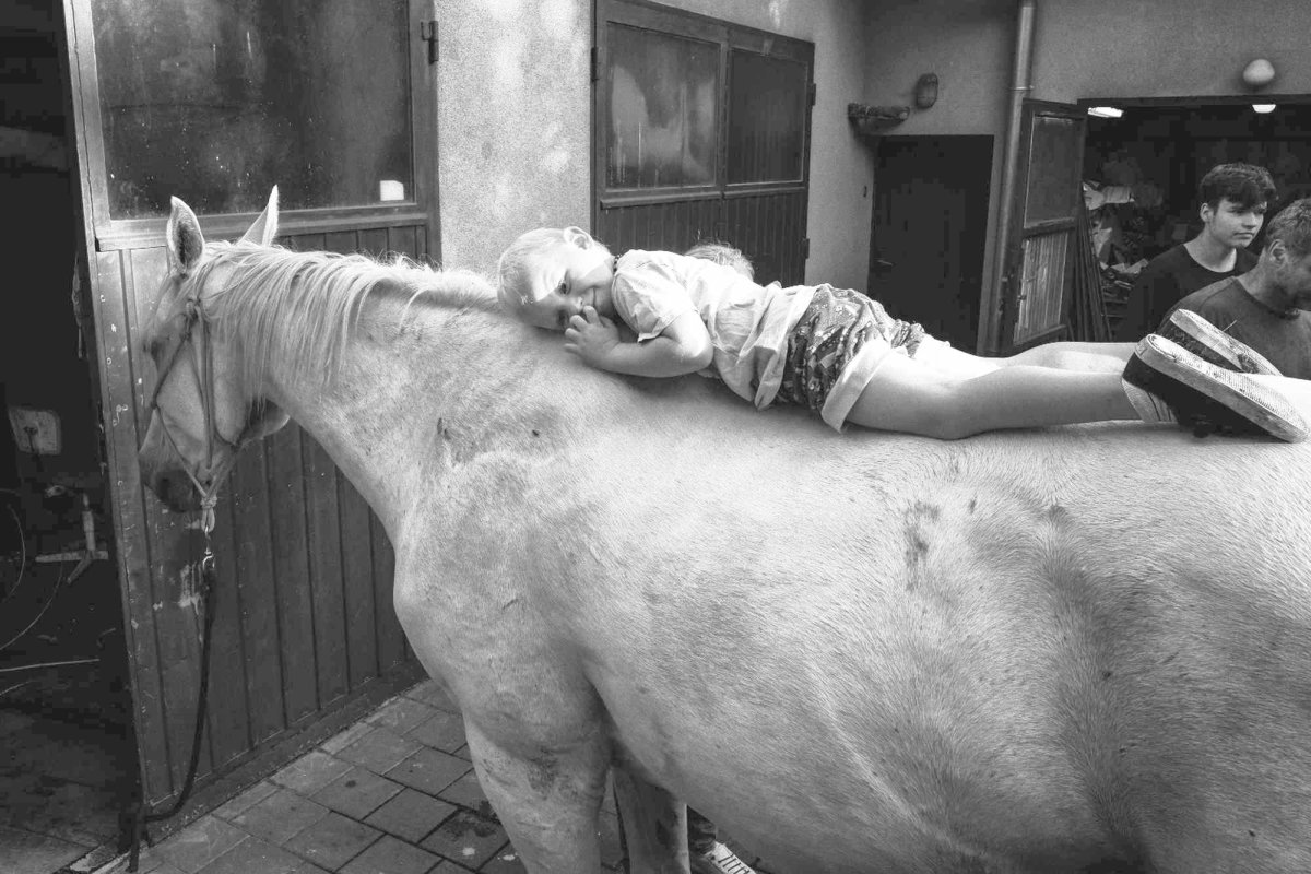 Oameni și cai din Valahia Moravă în fotografii 368867