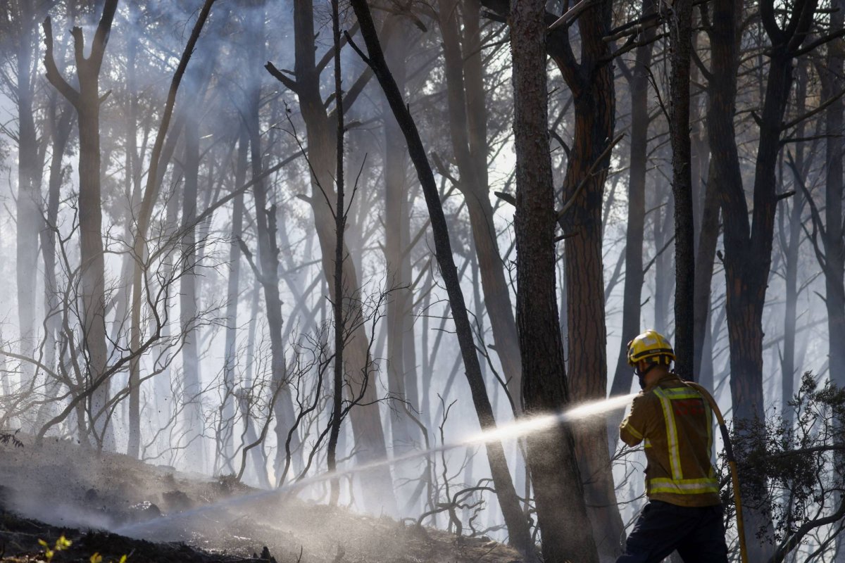 Incendiile forestiere au îngrozit Europa 369805