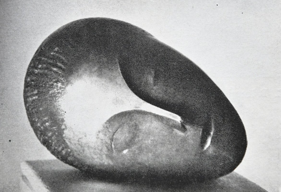Constantin Brâncuși. Câteva repere 370023