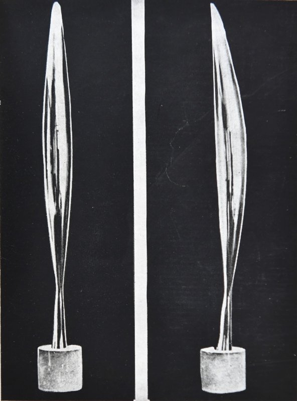 Constantin Brâncuși. Câteva repere 370033
