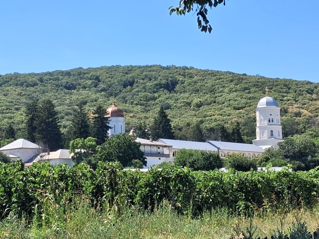 Pași pe pământ apostolic sau treptele către Cer... 371827