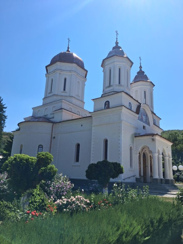 Pași pe pământ apostolic sau treptele către Cer... 371829