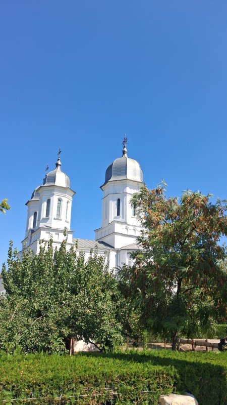Pași pe pământ apostolic sau treptele către Cer... 371831