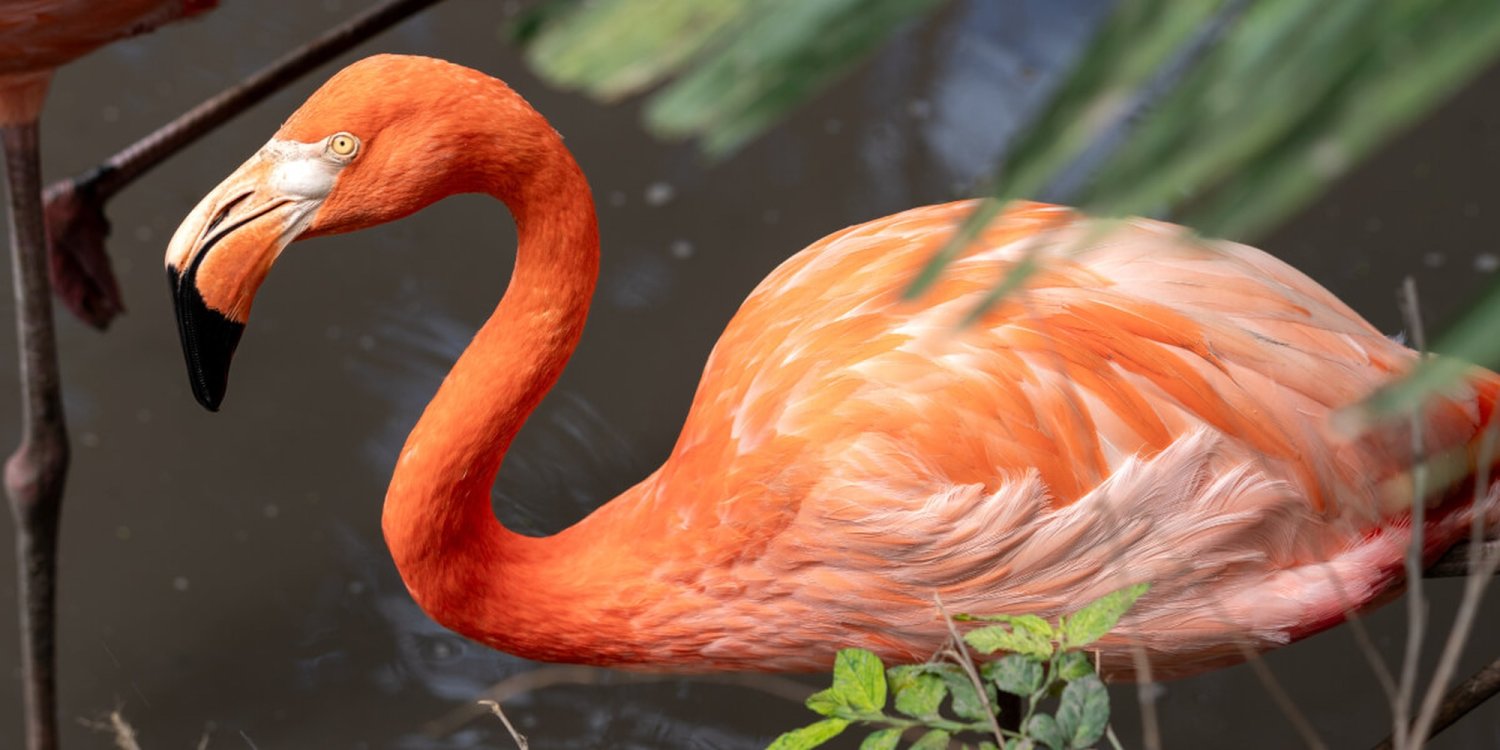 Grija pentru biodiversitate - o formă de mărturisire a credinței 371597