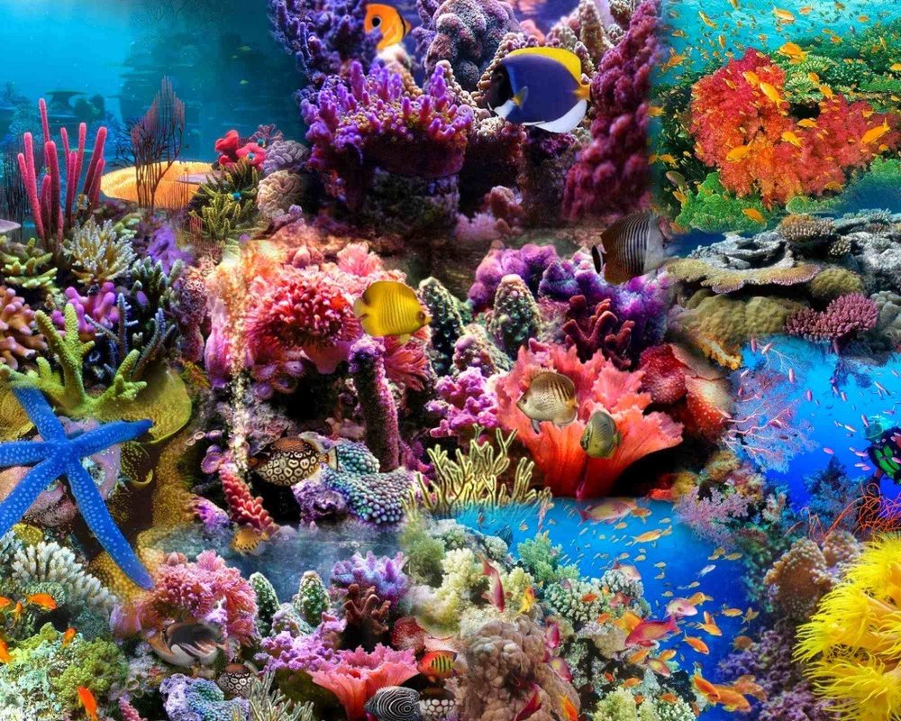 Grija pentru biodiversitate - o formă de mărturisire a credinței 371598