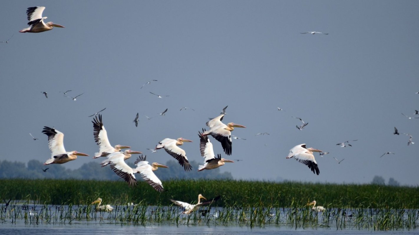 Grija pentru biodiversitate - o formă de mărturisire a credinței 371599