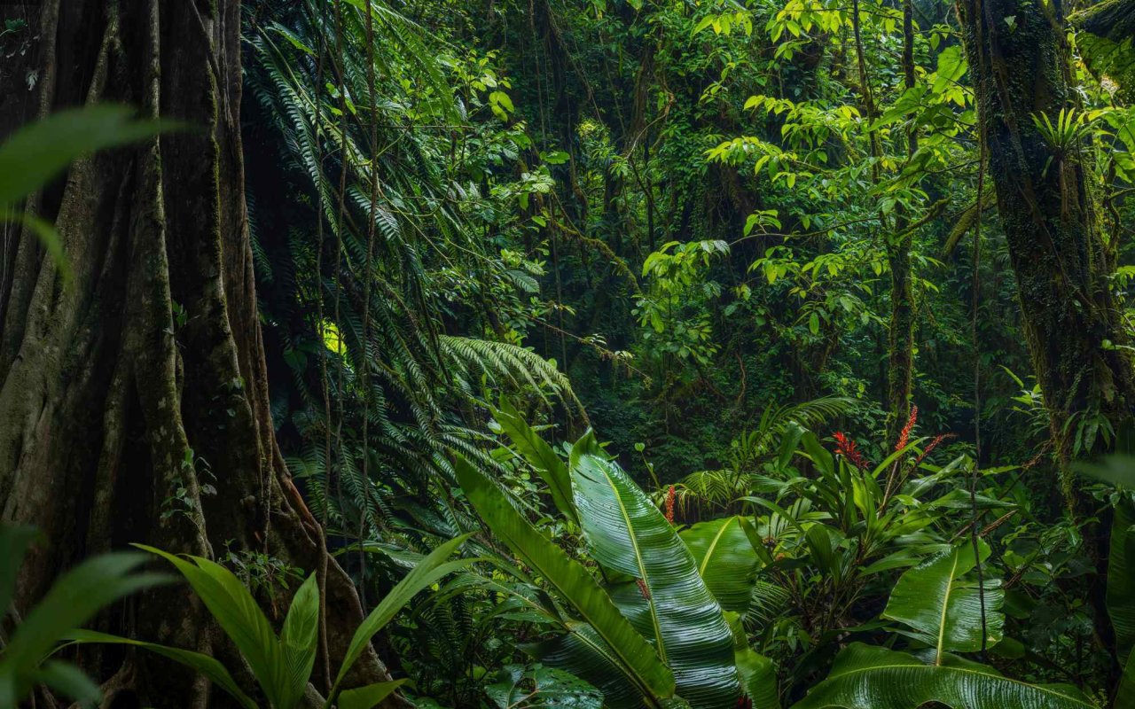 Grija pentru biodiversitate - o formă de mărturisire a credinței 371604