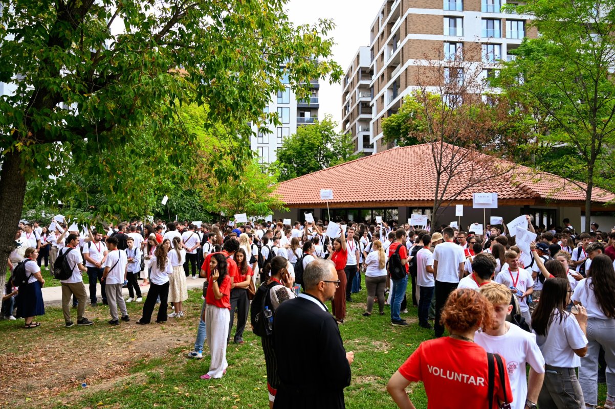 Ateliere de formare și dialog pentru participanții la ITO 372618