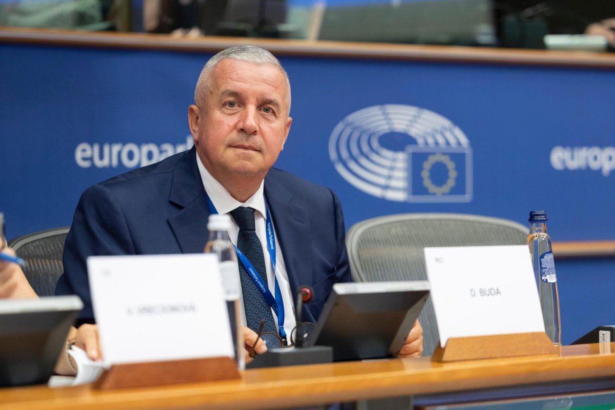 Europarlamentar: Exporturile de ovine se vor relua într-o lună 374446