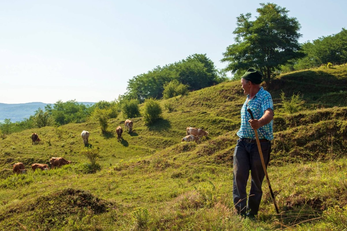 Agricultura tradițională pusă în valoare pe Via Transilvanica 374941