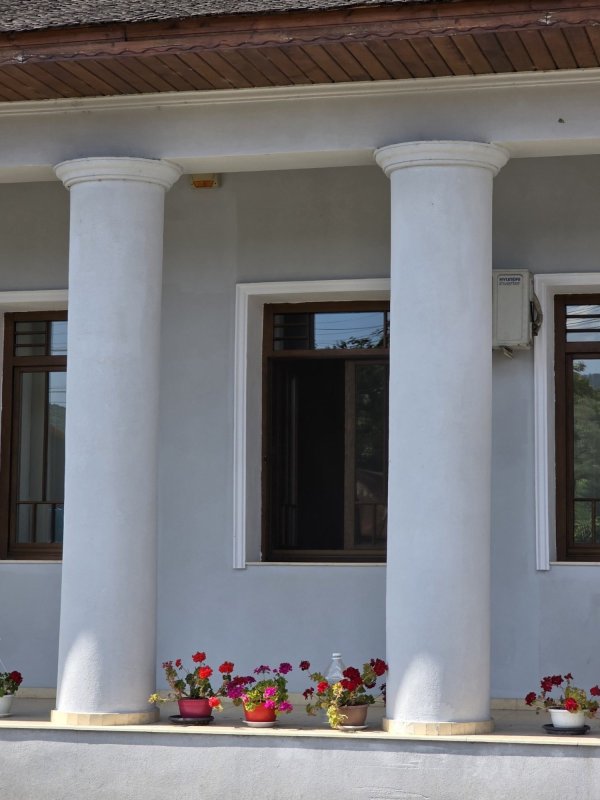 Salvatori ai patrimoniului din Țara Vrancei 374463