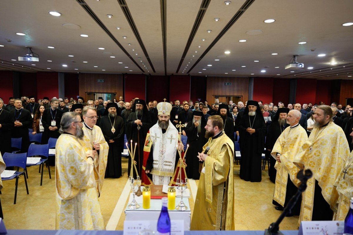 Congrese MOREOM desfășurate în Italia 376761