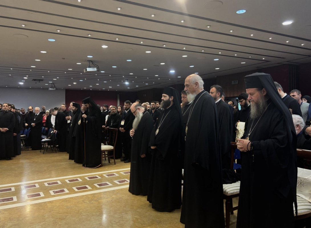 Congrese MOREOM desfășurate în Italia 376764