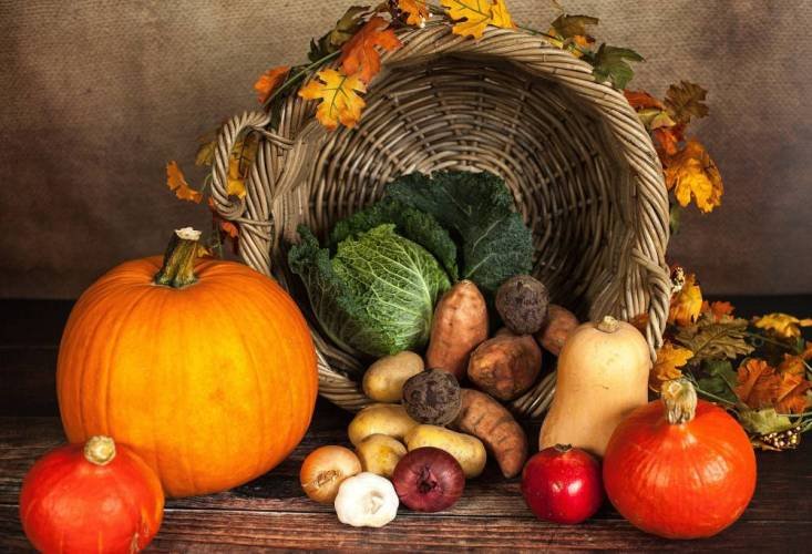 Imunitatea şi nutrienţii care îi susţin funcţionarea optimă 377403