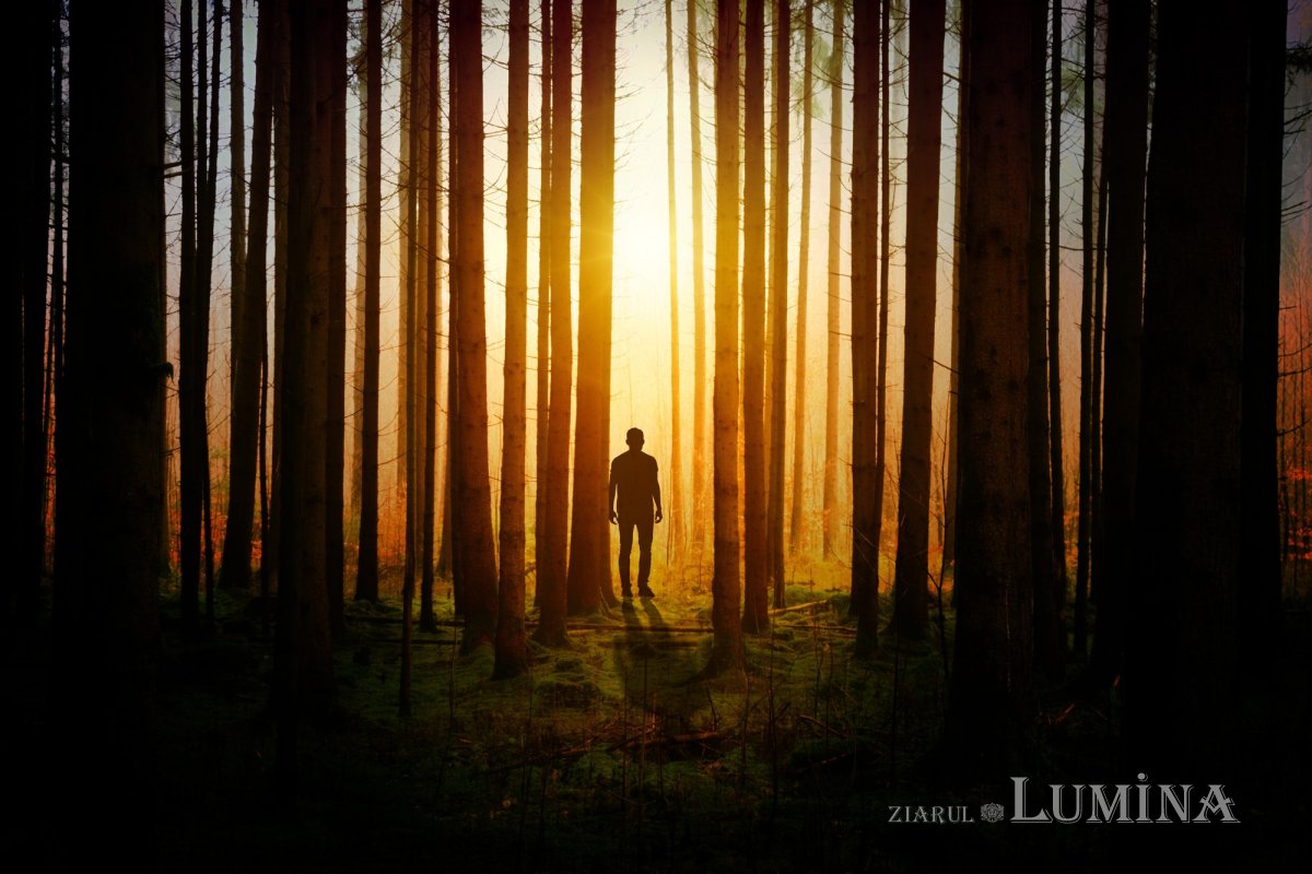 Exerciţii de contemplaţie: În căutarea omului pierdut 178132