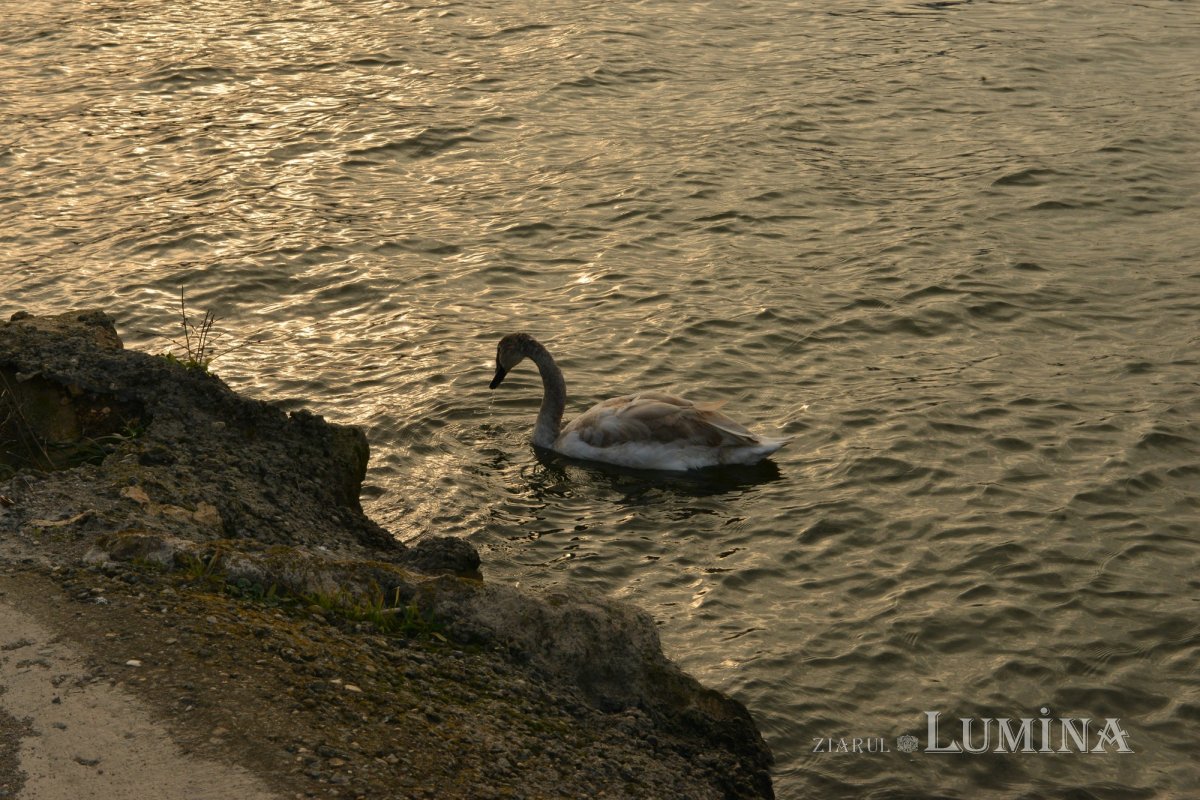 Bisericuţa copiilor din parcul Tăbăcăriei 176391