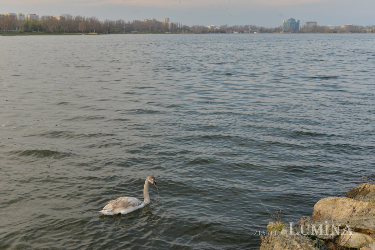 Bisericuţa copiilor din parcul Tăbăcăriei 176392