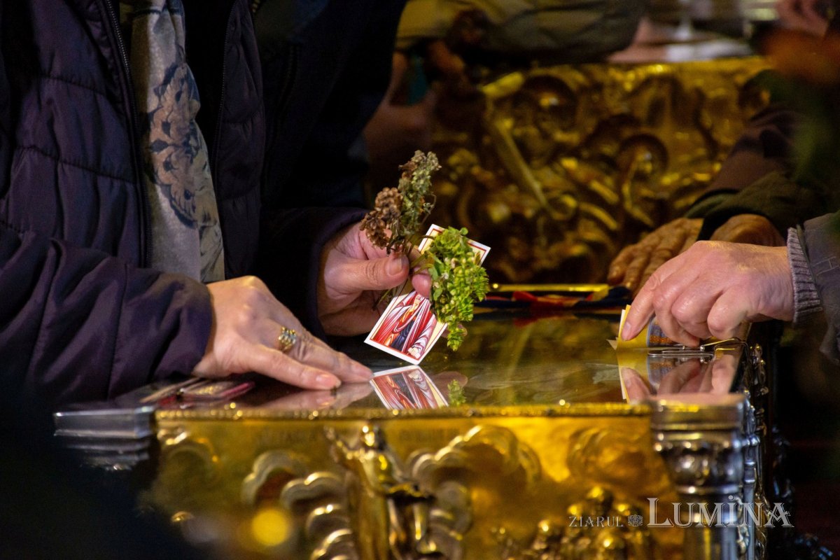 Zile binecuvântate pe Colina Bucuriei 130636