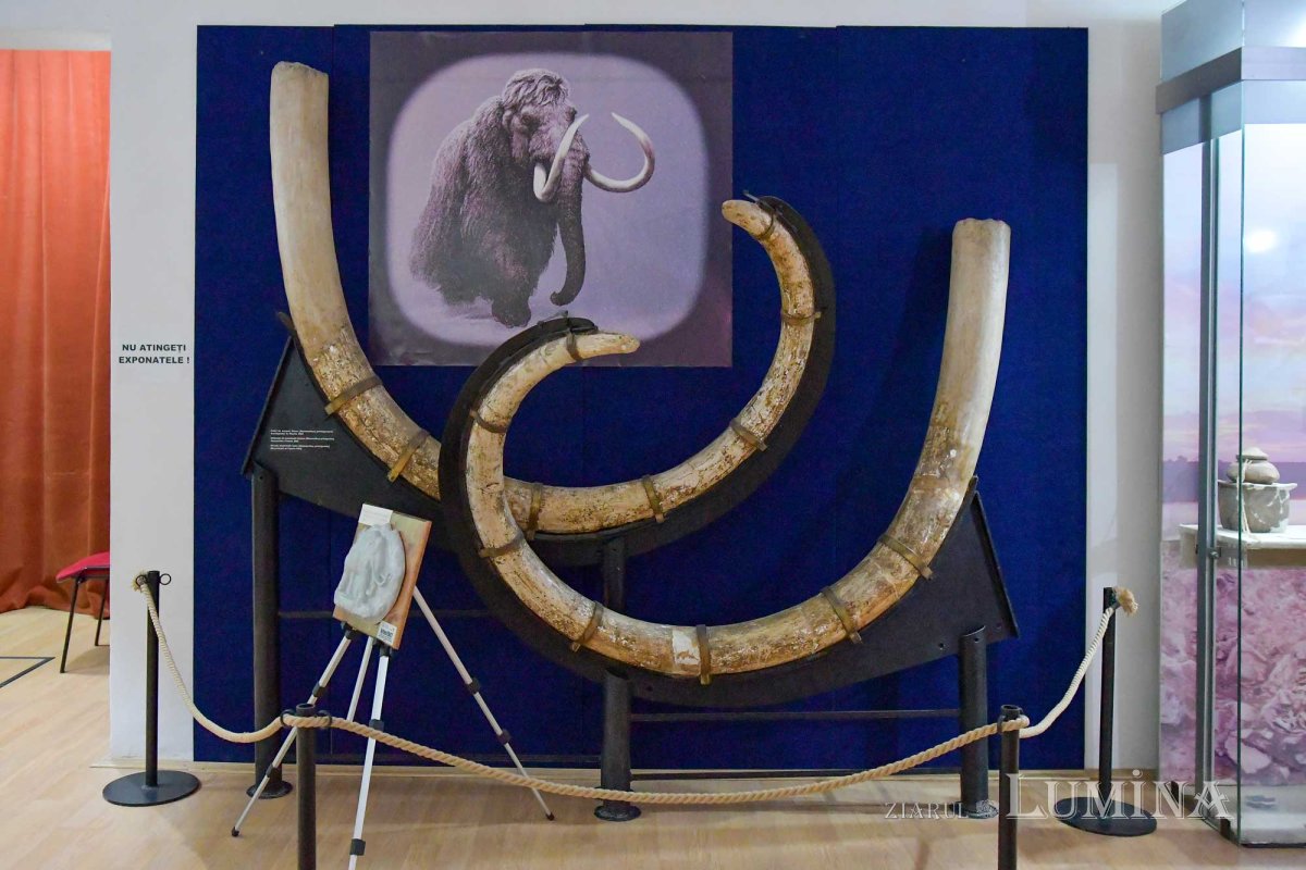 De la Tomis la Callatis, pe urmele strămoșilor 132723