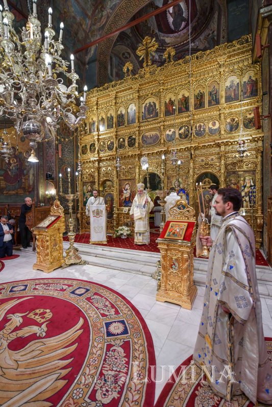 „Maica Domnului, icoană a pregătirii noastre pentru întâlnirea cu Hristos” 133008