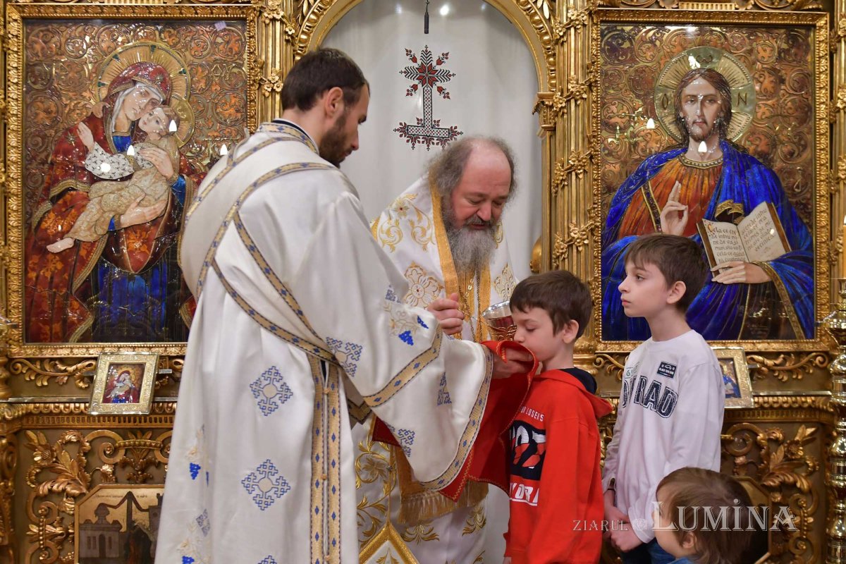 „Maica Domnului, icoană a pregătirii noastre pentru întâlnirea cu Hristos” 133030