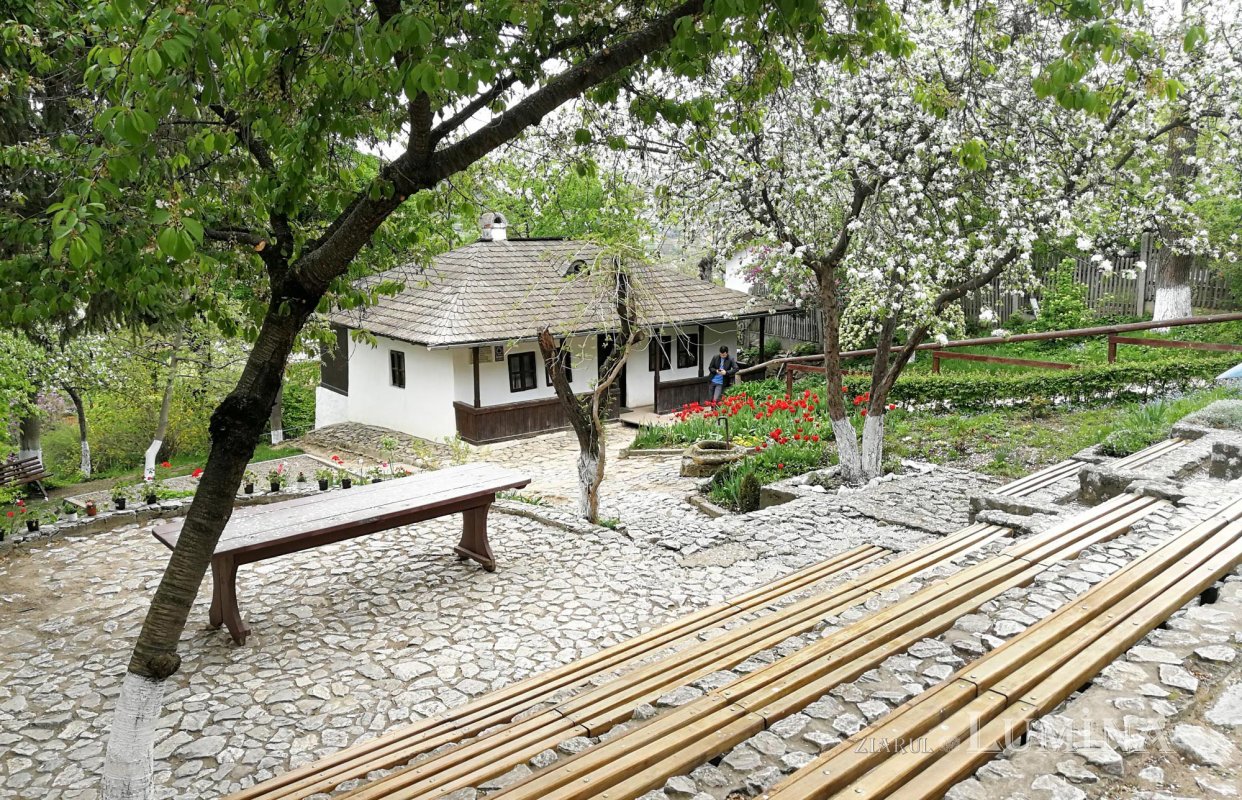 „Am descoperit o față specială a lui Ion Creangă” 140033