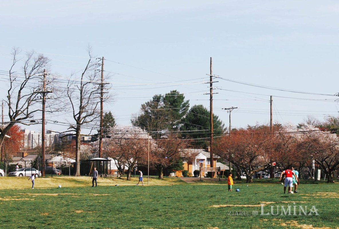 Acasă, refugiul planetar în vremuri de pandemie 141898
