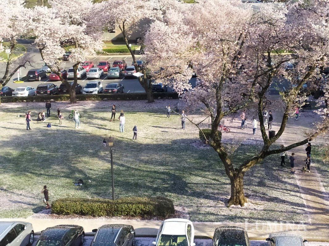 Acasă, refugiul planetar în vremuri de pandemie 141902