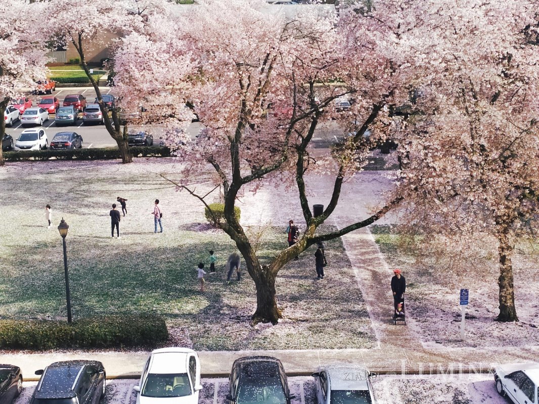 Acasă, refugiul planetar în vremuri de pandemie 141903