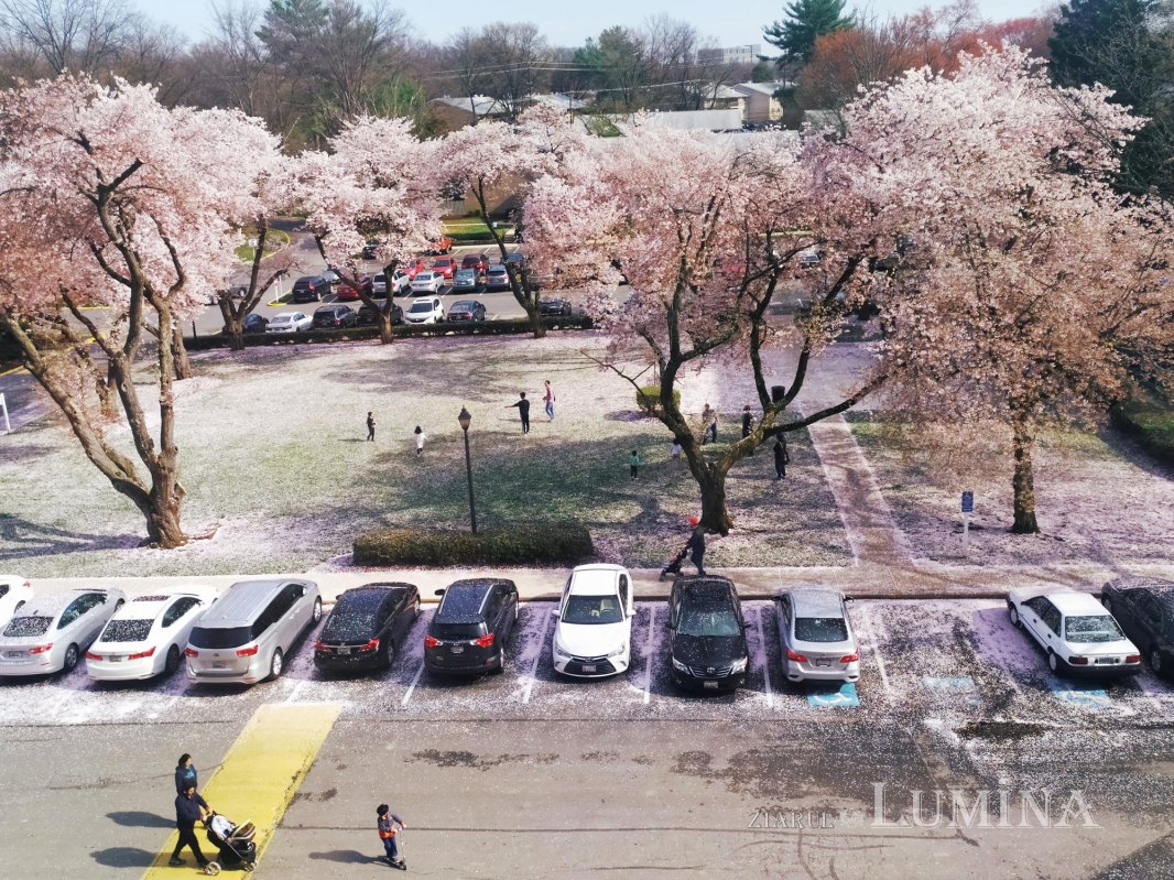 Acasă, refugiul planetar în vremuri de pandemie 141904