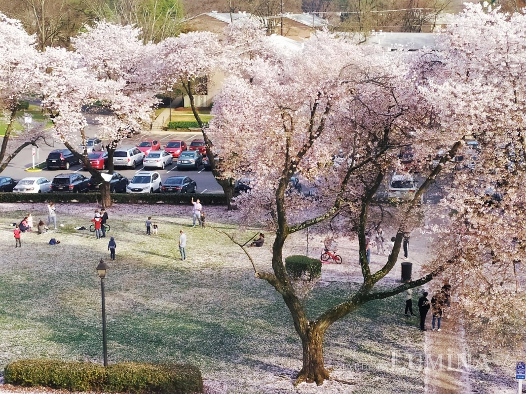 Acasă, refugiul planetar în vremuri de pandemie 141905