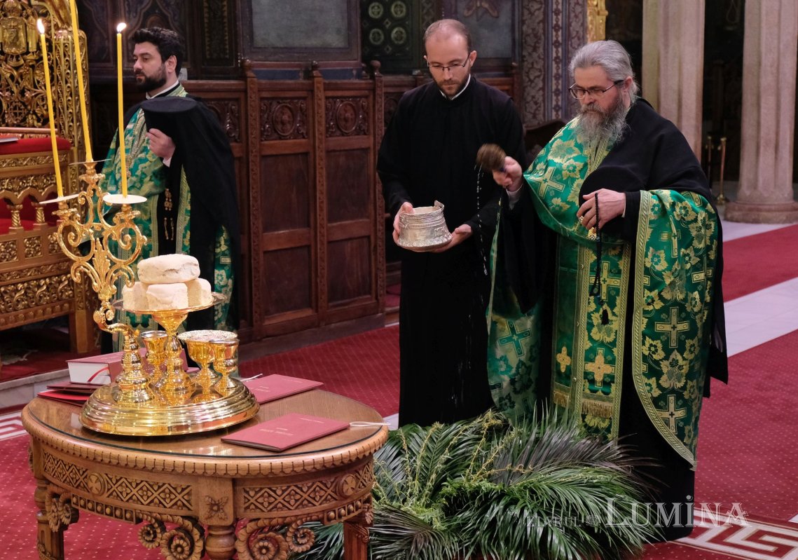 Sfințirea ramurilor de salcie și de finic la Catedrala Patriarhală 142588