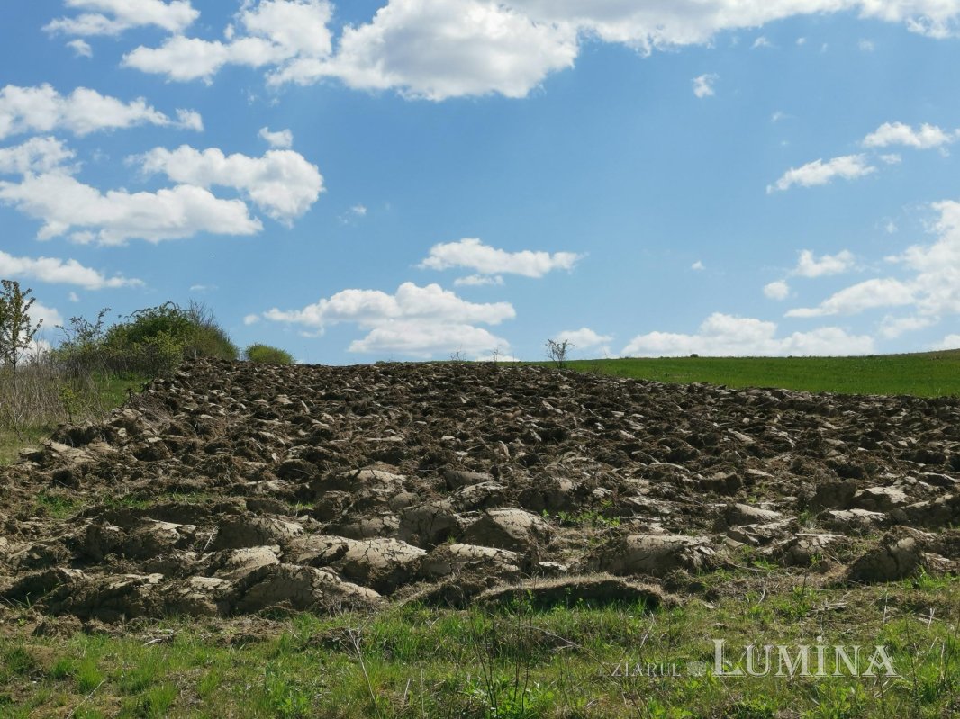 Moldova, sub spectrul îngrijorător al secetei 144538
