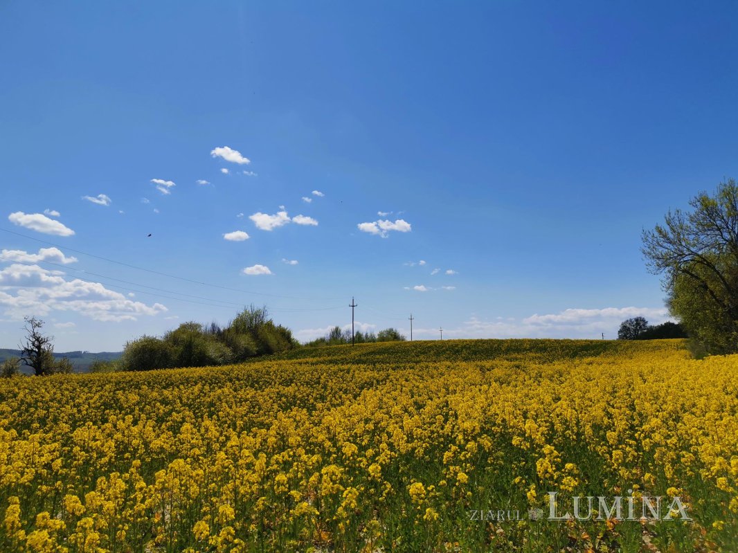 Moldova, sub spectrul îngrijorător al secetei 144542
