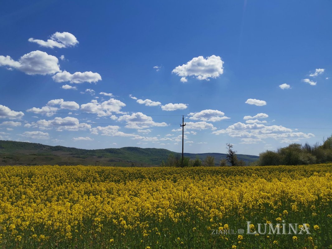 Moldova, sub spectrul îngrijorător al secetei 144544
