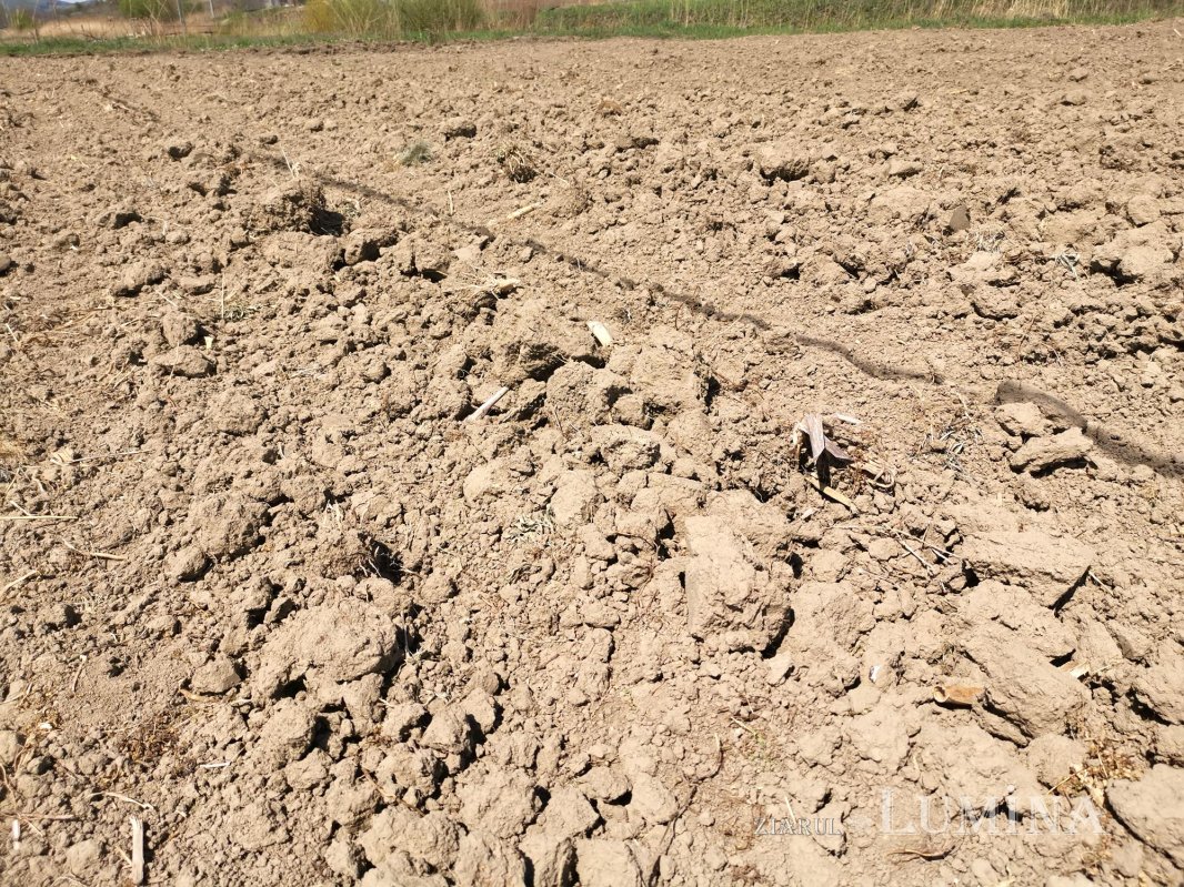 Moldova, sub spectrul îngrijorător al secetei 144550