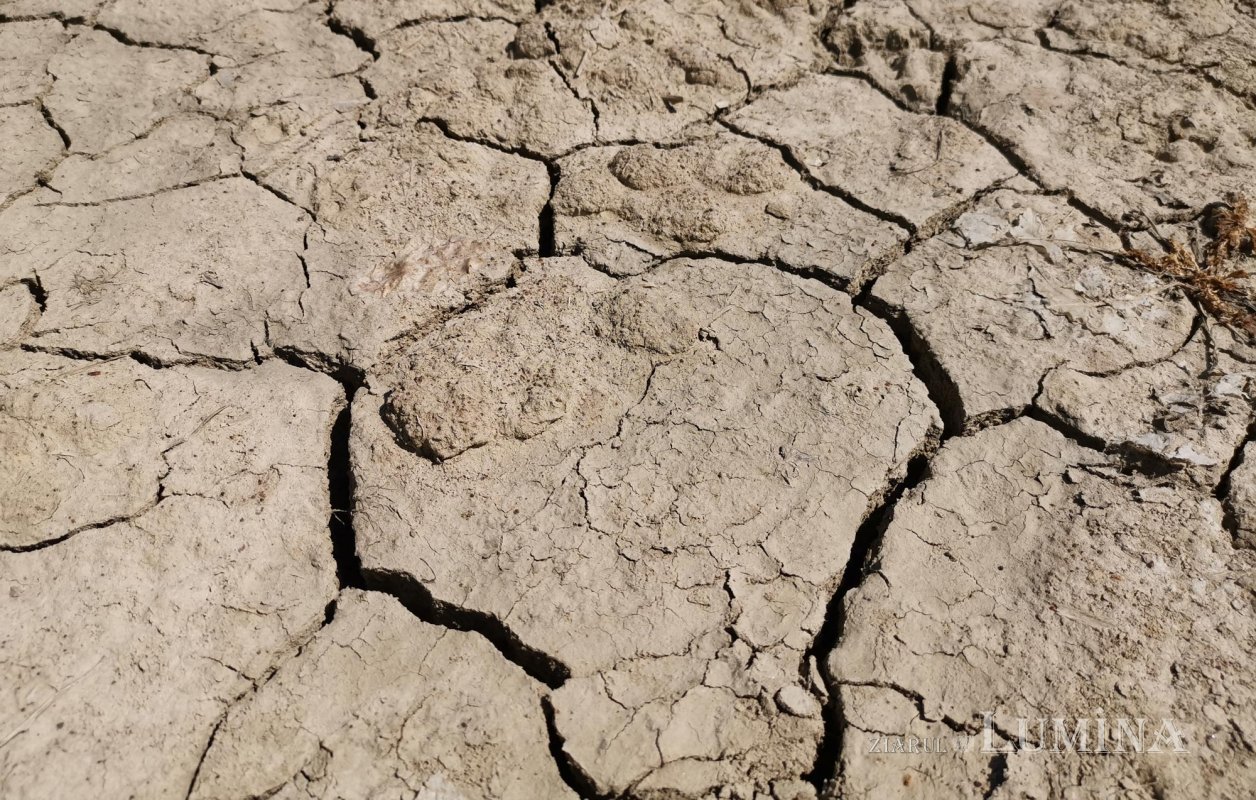 Moldova, sub spectrul îngrijorător al secetei 144552