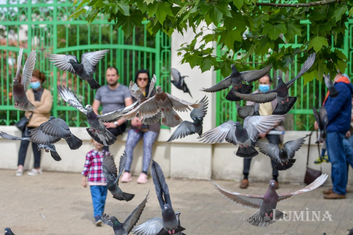 Slujire arhierească în Duminica Samarinencei pe Colina Bucuriei 144863