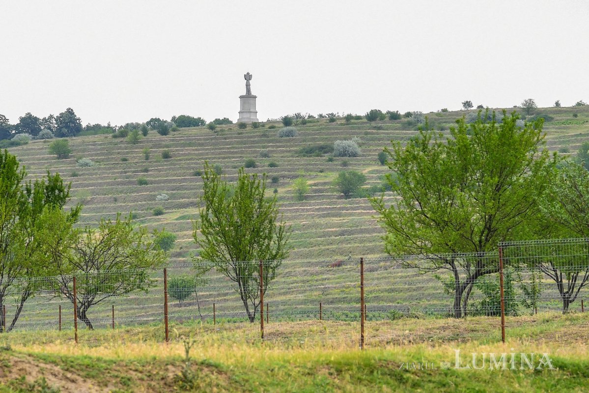 Actul de naștere al poporului român 146854